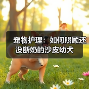 宠物护理:如何照顾还没断奶的沙皮幼犬(图3) 沙皮幼犬护理全攻略|断奶前喂养与健康要点(图3)