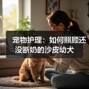 宠物护理:如何照顾还没断奶的沙皮幼犬(图1) 沙皮幼犬护理全攻略|断奶前喂养与健康要点(图1)