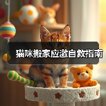猫咪搬家应激自救指南(图1) 猫咪搬家应激反应处理指南|科学缓解焦虑方法(图1)