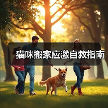 猫咪搬家应激自救指南(图2) 猫咪搬家应激反应处理指南|科学缓解焦虑方法(图2)
