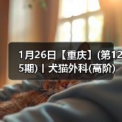 1月26日【重庆】(第125期)丨犬猫外科(高阶)班!含SUB(人人可实操)、乳糜胸等技术!(图1) 犬猫外科高阶实操班|SUB技术与复杂手术操作全攻略(图1)