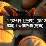 1月26日【重庆】(第125期)丨犬猫外科(高阶)班!含SUB(人人可实操)、乳糜胸等技术!(图3) 犬猫外科高阶实操班|SUB技术与复杂手术操作全攻略(图3)