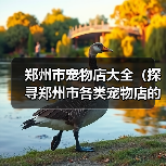 郑州市宠物店大全(探寻郑州市各类宠物店的选择与服务)(图4) 郑州市宠物店分类指南|全面了解各类宠物店服务与选择(图4)