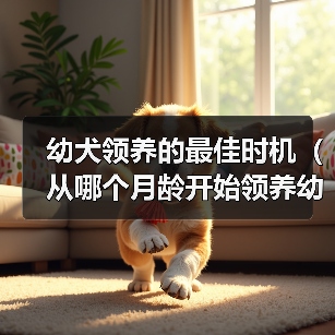 幼犬领养最佳时机｜4-16周社交化全攻略(图1)