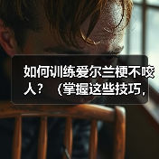 如何训练爱尔兰梗不咬人?(掌握这些技巧,让你的宠物更友善)(图1) 训练爱尔兰梗不咬人技巧|友善宠物养成全攻略(图1)
