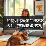 如何训练爱尔兰梗不咬人?(掌握这些技巧,让你的宠物更友善)(图2) 训练爱尔兰梗不咬人技巧|友善宠物养成全攻略(图2)