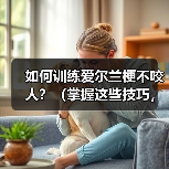 如何训练爱尔兰梗不咬人?(掌握这些技巧,让你的宠物更友善)(图3) 训练爱尔兰梗不咬人技巧|友善宠物养成全攻略(图3)