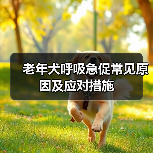 老年犬呼吸急促常见原因及应对措施(图2) 老年犬呼吸急促原因及应对措施|实用指南(图2)