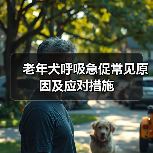 老年犬呼吸急促常见原因及应对措施(图1) 老年犬呼吸急促原因及应对措施|实用指南(图1)