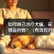 如何自己治疗犬瘟,买哪些药物?(有效应对犬瘟的药物购买指南)(图2) 如何自己治疗犬瘟及药物购买指南|实用核心技巧(图2)