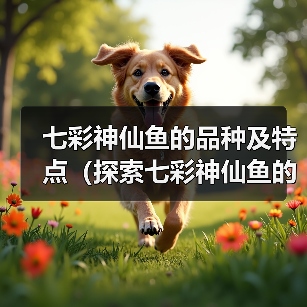 七彩神仙鱼的品种及特点(探索七彩神仙鱼的世界,了解不同品种的魅力)(图3) 七彩神仙鱼品种大全|观赏鱼养殖实用指南(图3)