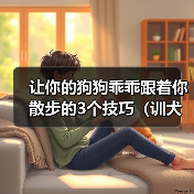 让你的狗狗乖乖跟着你散步的3个技巧(训犬师教你如何训练狗狗一起享受散步的乐趣)(图3) 狗狗散步训练技巧|如何让狗狗乖乖跟你走(图3)