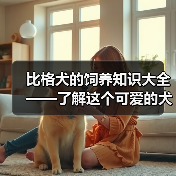 比格犬的饲养知识大全——了解这个可爱的犬种(比格犬好养吗?细致了解它们的饲养需求)(图2) 比格犬饲养全攻略|好养吗?核心需求解析(图2)