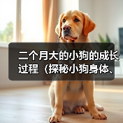 二个月小狗成长规律解析｜科学养育全攻略(图1)