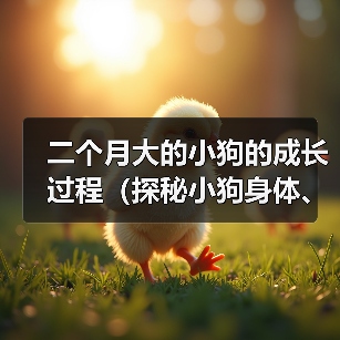 二个月小狗成长规律解析｜科学养育全攻略(图3)