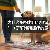 为什么狗狗老用爪抓痒?(了解狗狗抓痒的原因,保障它们的健康)(图3) 狗狗频繁抓痒原因解析|健康养护实用指南(图3)