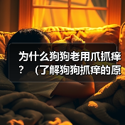 为什么狗狗老用爪抓痒?(了解狗狗抓痒的原因,保障它们的健康)(图2) 狗狗频繁抓痒原因解析|健康养护实用指南(图2)