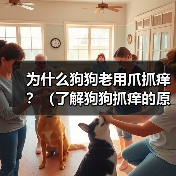 为什么狗狗老用爪抓痒?(了解狗狗抓痒的原因,保障它们的健康)(图4) 狗狗频繁抓痒原因解析|健康养护实用指南(图4)