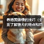 养德国猎梗的技巧(全面了解猎犬的特点和饲养要点,让你成为优秀的猎梗主人)(图1) 德国猎梗饲养全攻略|特点与技巧详解(图1)