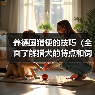 养德国猎梗的技巧(全面了解猎犬的特点和饲养要点,让你成为优秀的猎梗主人)(图4) 德国猎梗饲养全攻略|特点与技巧详解(图4)