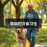 藏獒的饮食习性(图2) 藏獒饮食习性解析|科学喂养全攻略(图2)