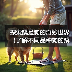 探索蹼足狗的奇妙世界(了解不同品种狗的蹼足特征及功能)(图3) 蹼足狗特征与功能全解析|实用指南(图3)
