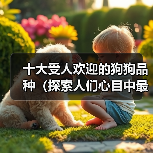 十大受人欢迎的狗狗品种(探索人们心目中最受喜爱的狗狗品种)(图3) 十大受欢迎狗狗品种推荐|适合家庭的宠物选择(图3)