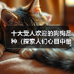 十大受人欢迎的狗狗品种(探索人们心目中最受喜爱的狗狗品种)(图2) 十大受欢迎狗狗品种推荐|适合家庭的宠物选择(图2)