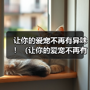 让你的爱宠不再有异味!(让你的爱宠不再有异味!)(图4) 博美犬耳朵异味解决方法|实用护理全攻略(图4)