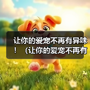 博美犬耳朵异味解决方法｜实用护理全攻略