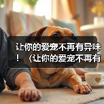 让你的爱宠不再有异味!(让你的爱宠不再有异味!)(图3) 博美犬耳朵异味解决方法|实用护理全攻略(图3)