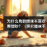 为什么有的猫咪不喜欢用猫砂？（探究猫咪不喜欢用猫砂的原因和解