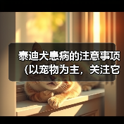 泰迪犬患病的注意事项(以宠物为主,关注它的健康)(图2) 泰迪犬患病的注意事项(以宠物为主,关注它的健康)(图2)