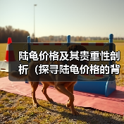 陆龟价格及其贵重性剖析(探寻陆龟价格的背后)(图4) 陆龟价格及其贵重性剖析(探寻陆龟价格的背后)(图4)