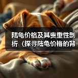 陆龟价格及其贵重性剖析(探寻陆龟价格的背后)(图3) 陆龟价格及其贵重性剖析(探寻陆龟价格的背后)(图3)