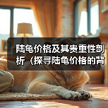 陆龟价格及其贵重性剖析（探寻陆龟价格的背后）