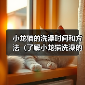 小龙猫的洗澡时间和方法（了解小龙猫洗澡的频率和正确的洗澡方法