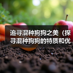 追寻混种狗狗之美(探寻混种狗狗的特质和优点,了解其起源和命名方式)(图3) 追寻混种狗狗之美(探寻混种狗狗的特质和优点,了解其起源和命名方式)(图3)