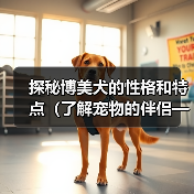 探秘博美犬的性格和特点(了解宠物的伴侣——博美犬)(图2) 探秘博美犬的性格和特点(了解宠物的伴侣——博美犬)(图2)