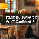 探秘博美犬的性格和特点(了解宠物的伴侣——博美犬)(图4) 探秘博美犬的性格和特点(了解宠物的伴侣——博美犬)(图4)
