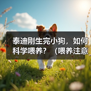 泰迪刚生完小狗，如何科学喂养？（喂养注意事项，营养搭配，健康