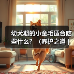 幼犬期的小金毛适合吃些什么?(养护之道|为你的小金毛选择最佳饮食)(图2) 幼犬期的小金毛适合吃些什么?(养护之道|为你的小金毛选择最佳饮食)(图2)