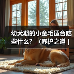 幼犬期的小金毛适合吃些什么?(养护之道|为你的小金毛选择最佳饮食)(图4) 幼犬期的小金毛适合吃些什么?(养护之道|为你的小金毛选择最佳饮食)(图4)