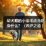 幼犬期的小金毛适合吃些什么？（养护之道｜为你的小金毛选择最佳