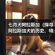 七月犬阿拉斯加(探寻阿拉斯加犬的历史、特点与饲养技巧)(图4) 七月犬阿拉斯加(探寻阿拉斯加犬的历史、特点与饲养技巧)(图4)