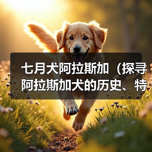 七月犬阿拉斯加（探寻阿拉斯加犬的历史、特点与饲养技巧）
