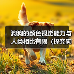 狗狗的颜色视觉能力与人类相比有限（探究狗狗的视觉世界及其颜色