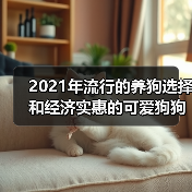 2021年流行的养狗选择和经济实惠的可爱狗狗品种(图3) 2021年流行的养狗选择和经济实惠的可爱狗狗品种(图3)