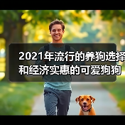 2021年流行的养狗选择和经济实惠的可爱狗狗品种