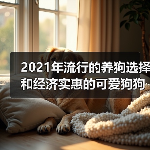 2021年流行的养狗选择和经济实惠的可爱狗狗品种(图4) 2021年流行的养狗选择和经济实惠的可爱狗狗品种(图4)